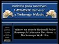 Z Borkowego Wykrotu