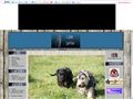 http://www.a.jednak.prv.pl
