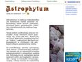 Kaktusy z rodzaju Astrophytum