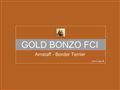 Gold Bonzo