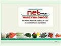 Net-Profit Kraków