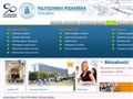 Wydział Informatyki i Zarządzania Politechniki Poznańskiej