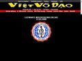 Viet Vo Dao - Wietnamskie Sztuki Walki