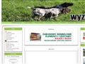 Wyzel.pl